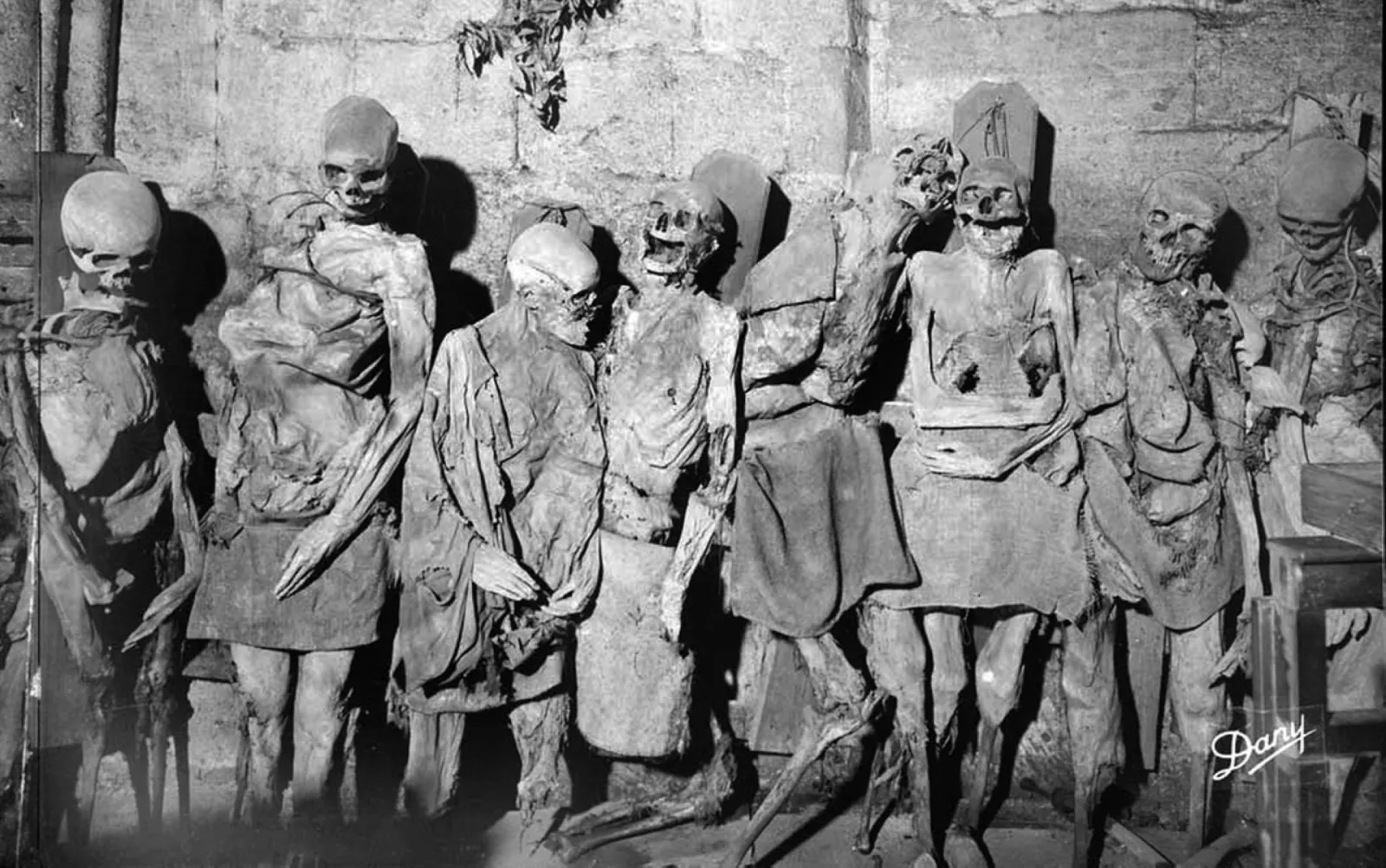Black and white photograph displaying a collection of skeletons and mummies exhibited in the catacombs of the Basilica of Saint-Michel in Bordeaux, dressed in ancient clothing and arranged against a stone wall.