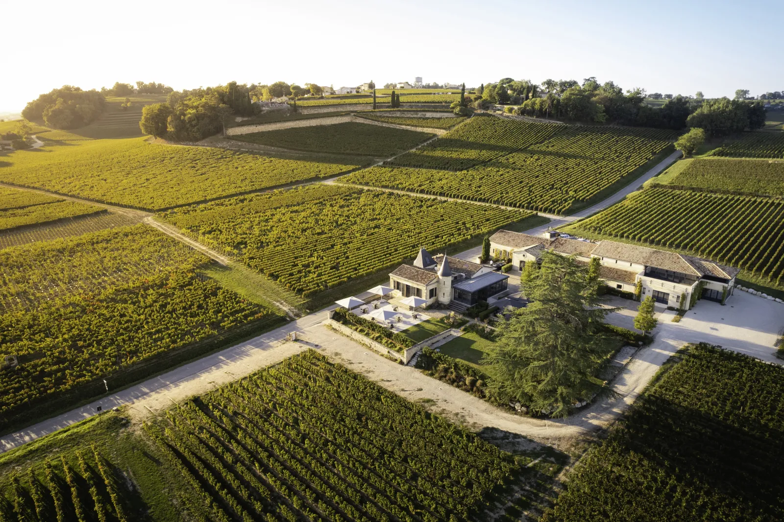 Aerial view of Château de Candale near Bordeaux, surrounded by neatly arranged vineyard rows with residential buildings and an irrigation canal winding through the cultivated landscape.