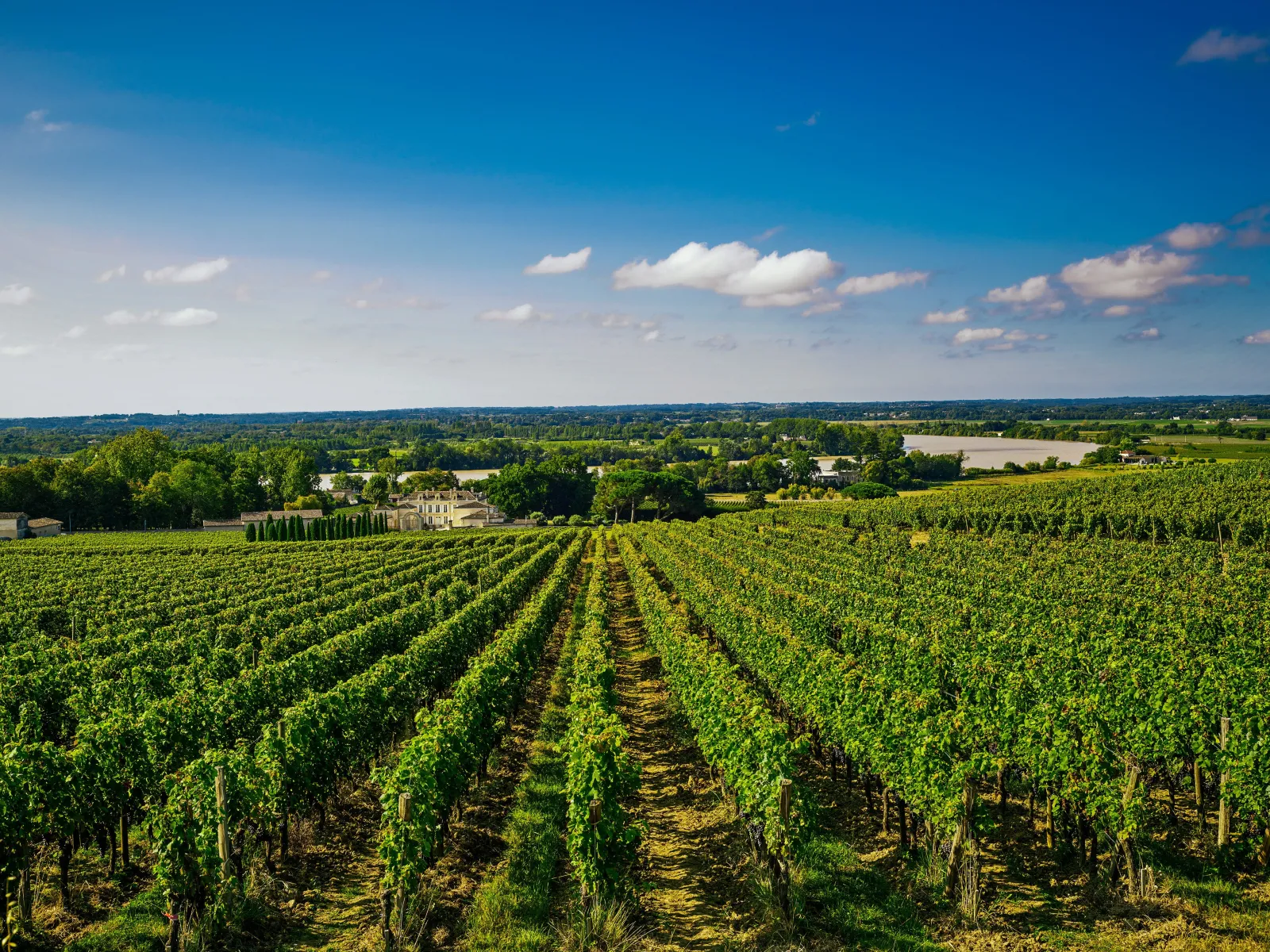 Aerial view of the Château de La Dauphine vineyards near Bordeaux, featuring lush green vineyard rows, a historic mansion, and the Dordogne river in the background under a blue sky.