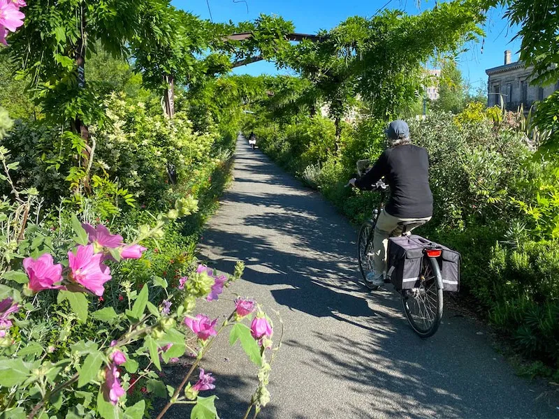 Cyclist riding on a lush tree-lined path with pink flowers and abundant greenery in Bordeaux, with historic buildings visible in the background