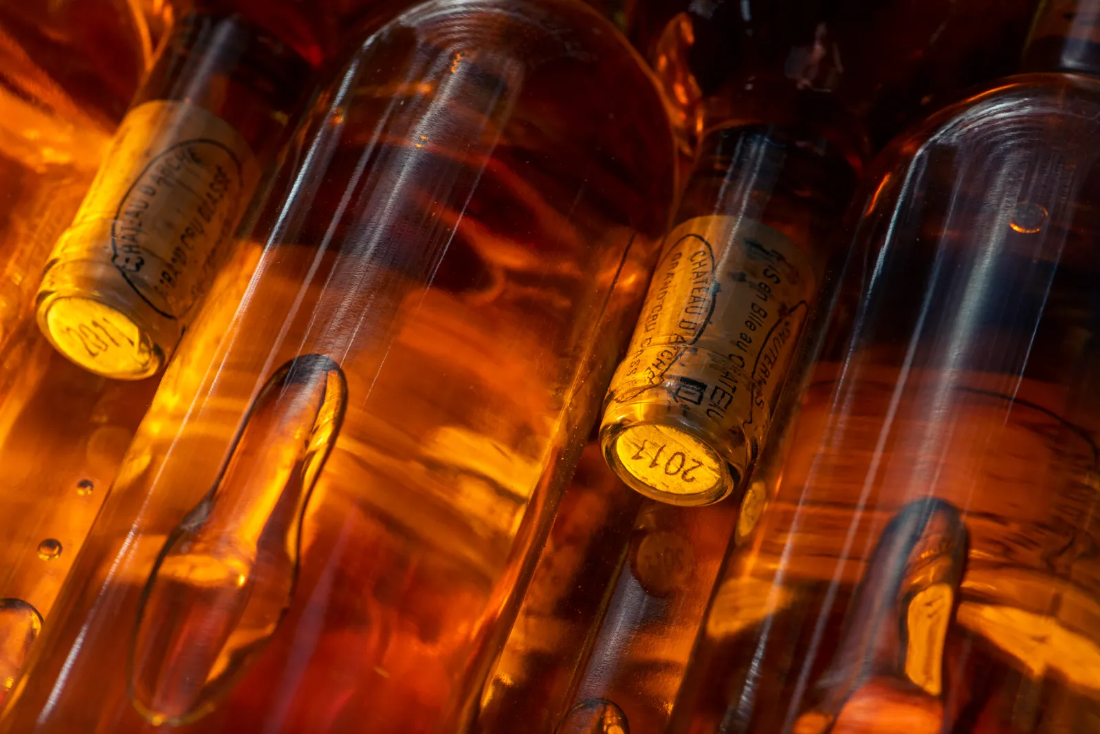 Collection of Château d'Arche wine bottles backlit with warm golden light, showcasing labels and the amber color of Bordeaux wine.