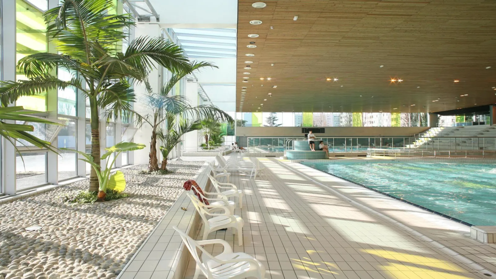 Indoor swimming pool at the Grand Parc municipal pool in Bordeaux featuring an Olympic-size basin, white loungers, palm trees, and glass walls overlooking an outdoor garden