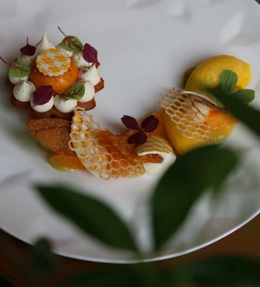 Fine dining plate featuring an artistic arrangement of poached fish, fish roe, mayonnaise and microherbs on white background, garnished with fresh lemon and basil leaves.