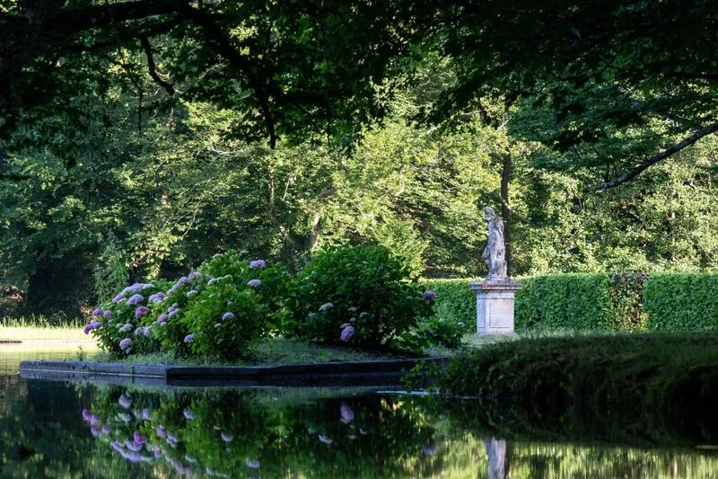 Château de Sales park in Bordeaux featuring blue hydrangeas by a pond, tall trees and a statue in the background
