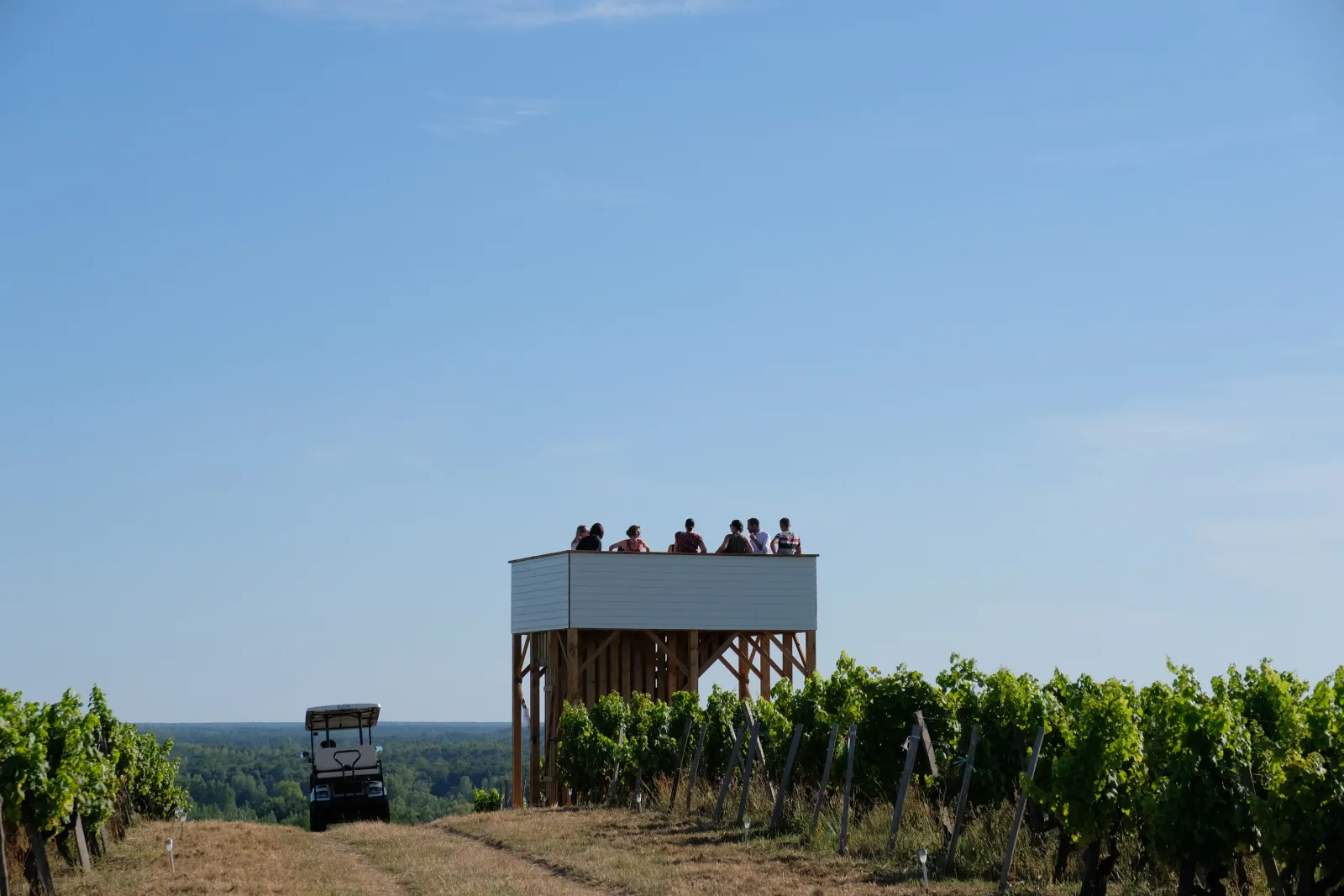 Elevated observation platform above the vineyards of Château La Tour Blanche in Bordeaux, with several visitors standing on the wooden and metal structure overlooking rows of grapevines and forested landscape in the background.