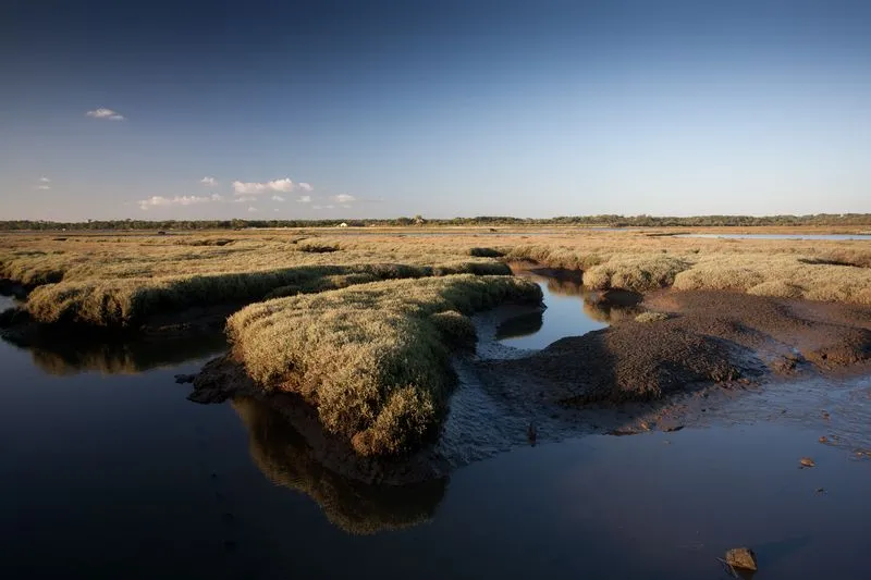 Marshland landscape with water channels and golden vegetation islands at Certes-Graveyron Estate near Bordeaux
