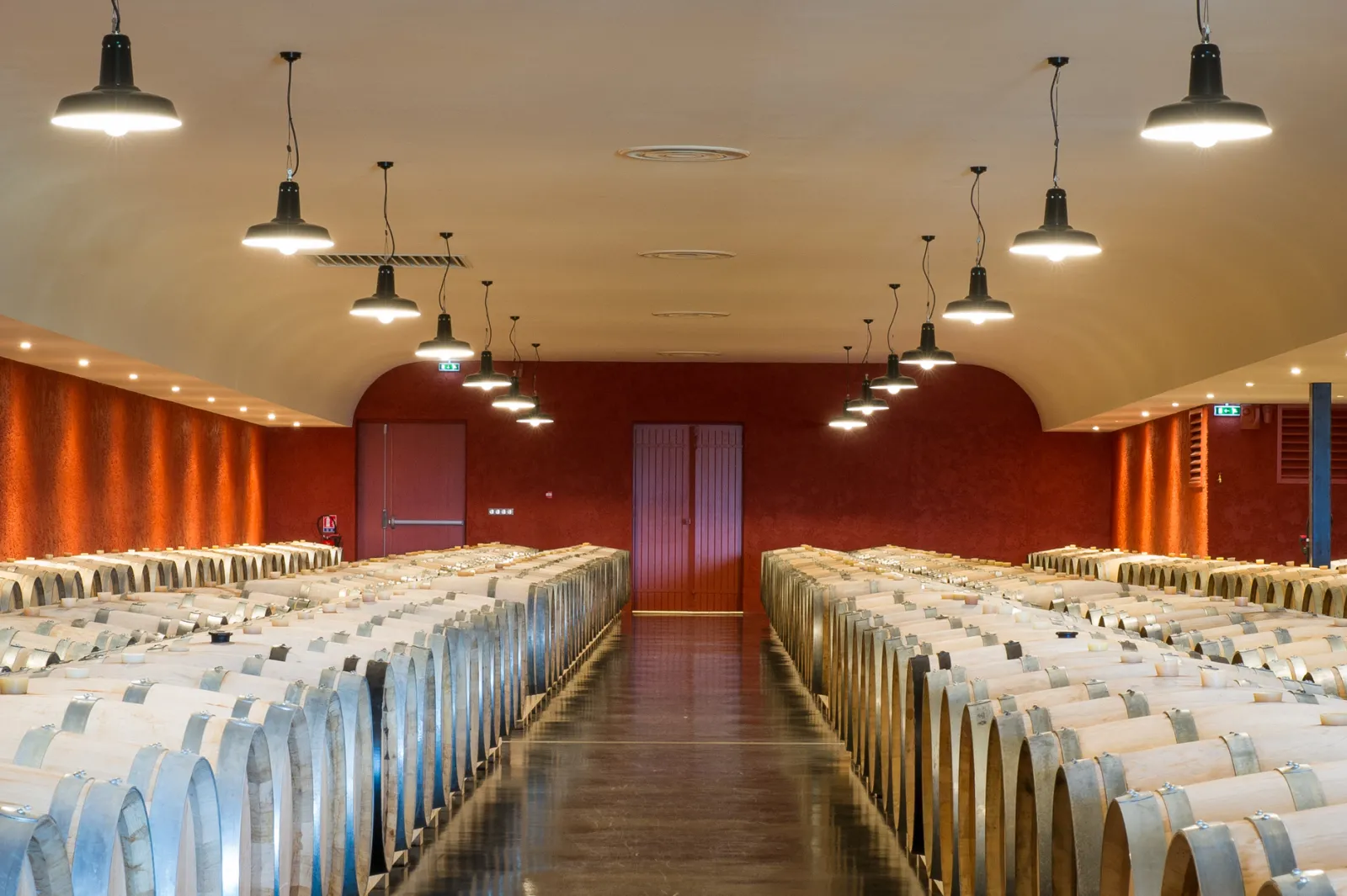 Wine aging cellar with rows of wooden oak barrels symmetrically arranged in a modern underground cellar with burgundy red walls, illuminated by suspended industrial black lamps.