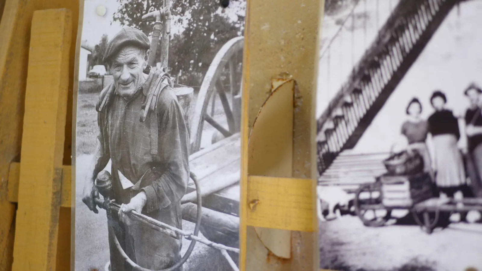 Black and white photograph displayed at the Bordeaux Market Garden Museum showing an elderly smiling farmer holding a wagon wheel, with other people visible in the background.