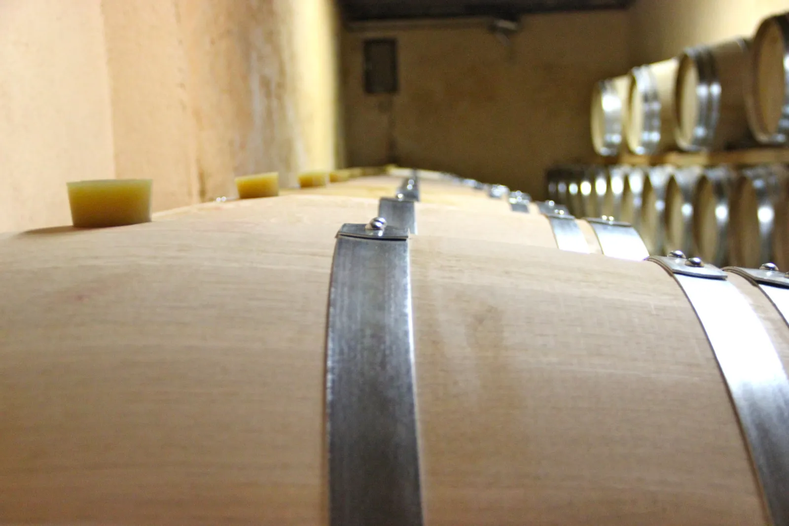 Row of oak barrels with metal bands in the cellar of Château Bernateau in Bordeaux, with wine bottles visible in the background