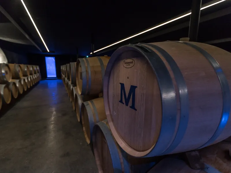 Row of oak barrels marked with an M in a modern winery cellar, lit by blue neon lights, at Château Malescasse in Bordeaux.