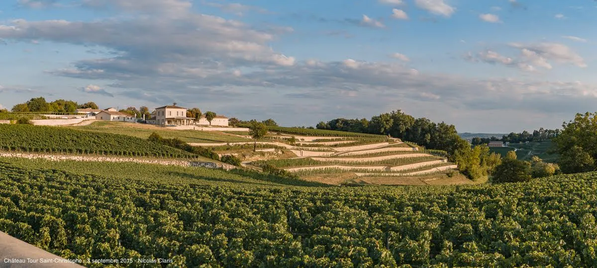Panoramic view of Château Tour Saint-Christophe surrounded by sloped vineyards in the Bordeaux region, featuring traditional buildings and characteristic terraced vine plantings.