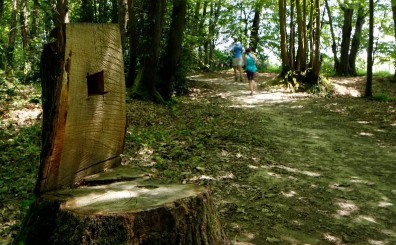 Forest trail in the Bois de Margnat near Bordeaux featuring a hollow tree in the foreground and two hikers visible on the shaded path ahead