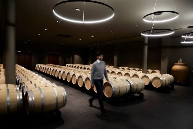 Aging cellar with hundreds of oak barrels lined up in a modern underground cellar, a visitor walking between the rows, contemporary lighting.