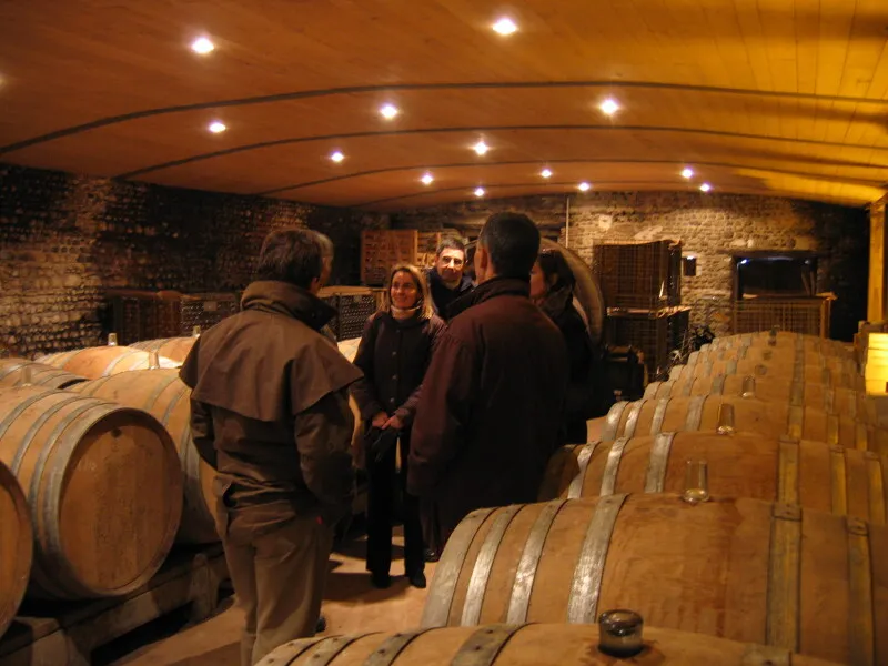 Guided tour of a wine aging cellar with oak barrels lined up in a historic Bordeaux winery featuring a vaulted ceiling and ambient lighting.