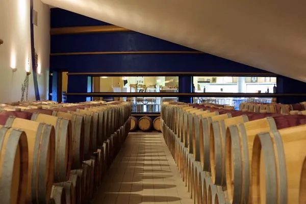 Rows of oak barrels lined up in the winemaking cellar of Château Prieuré-Lichine in Bordeaux, with glass windows in the background.