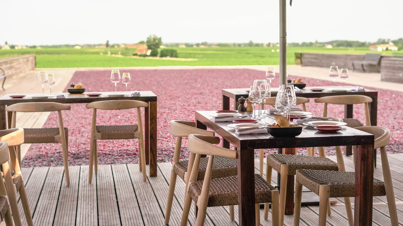 Restaurant terrace with set tables overlooking pink flower fields, rural landscape in background, Bordeaux