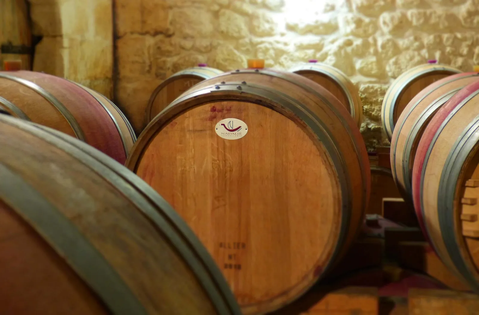 Row of oak barrels in a Bordeaux wine cellar, with colorful bands and a Kadaule logo visible on the central barrel