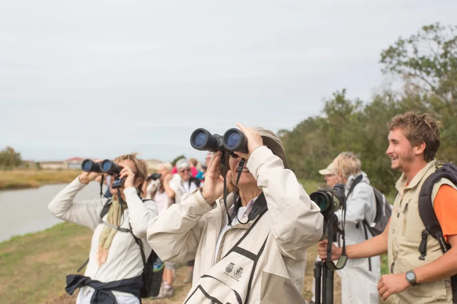 Group of birdwatchers on a guided tour at Île Nouvelle in Bordeaux, using binoculars to observe wildlife near a wetland area with marsh vegetation.