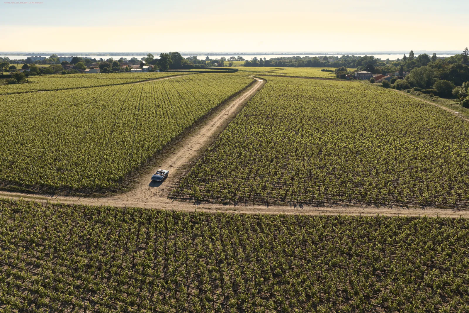 Aerial view of a Médoc vineyard near Bordeaux with a vehicle driving on a dirt road between rows of grapevines, with a lake visible in the background.