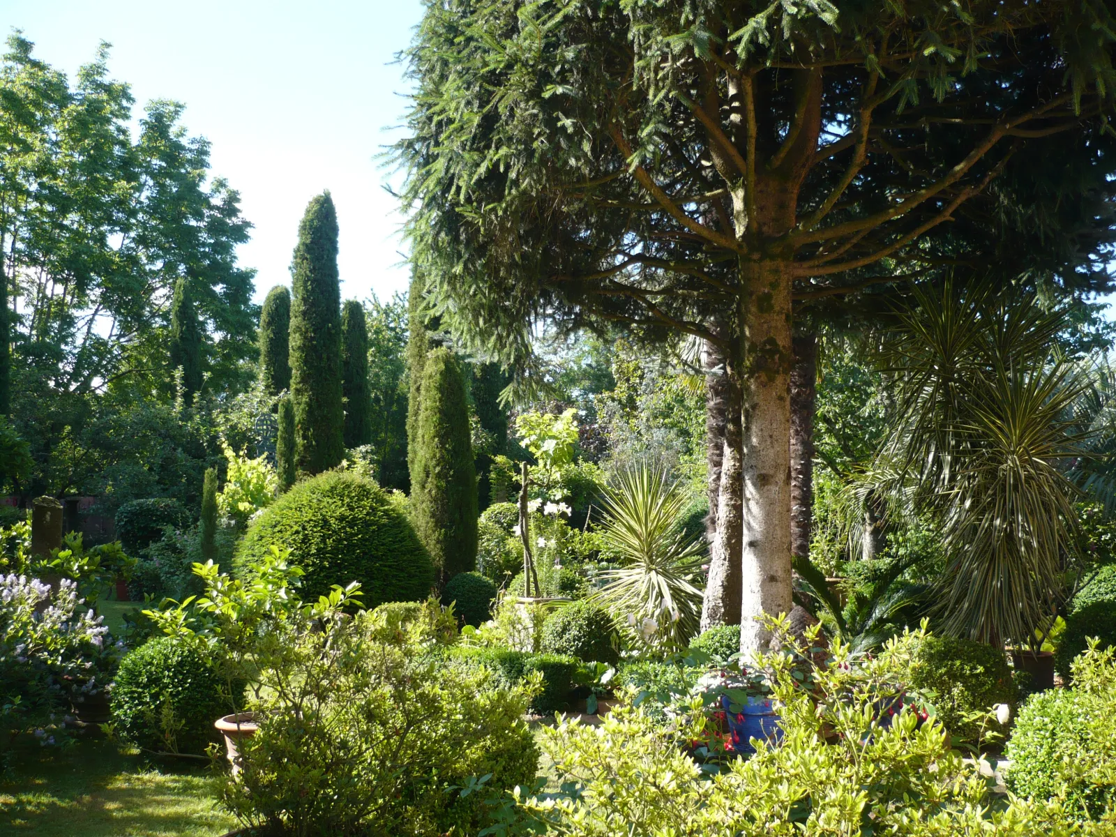 View of Jardin du Clozet in Bordeaux featuring tall cypress trees, a weeping tree with drooping branches, trimmed shrubs, palm trees, and lush vegetation under clear sky.