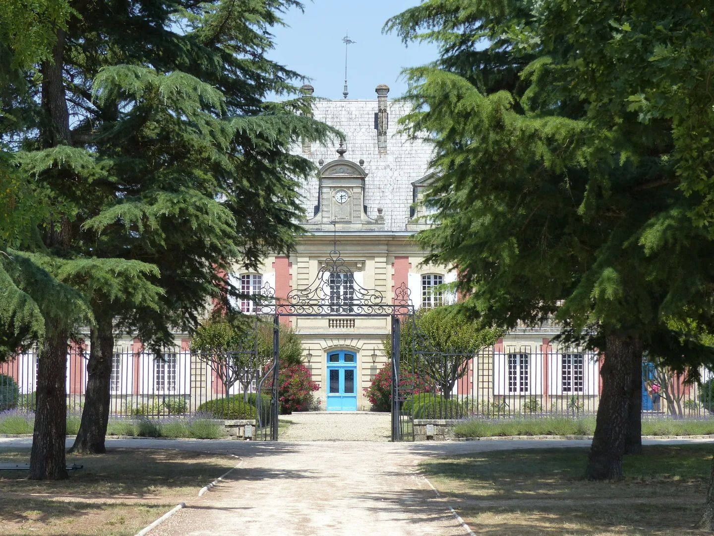 Front facade of Château Saint Ahon in Bordeaux, a pink and white building with a blue door, framed by century-old trees and a paved driveway.