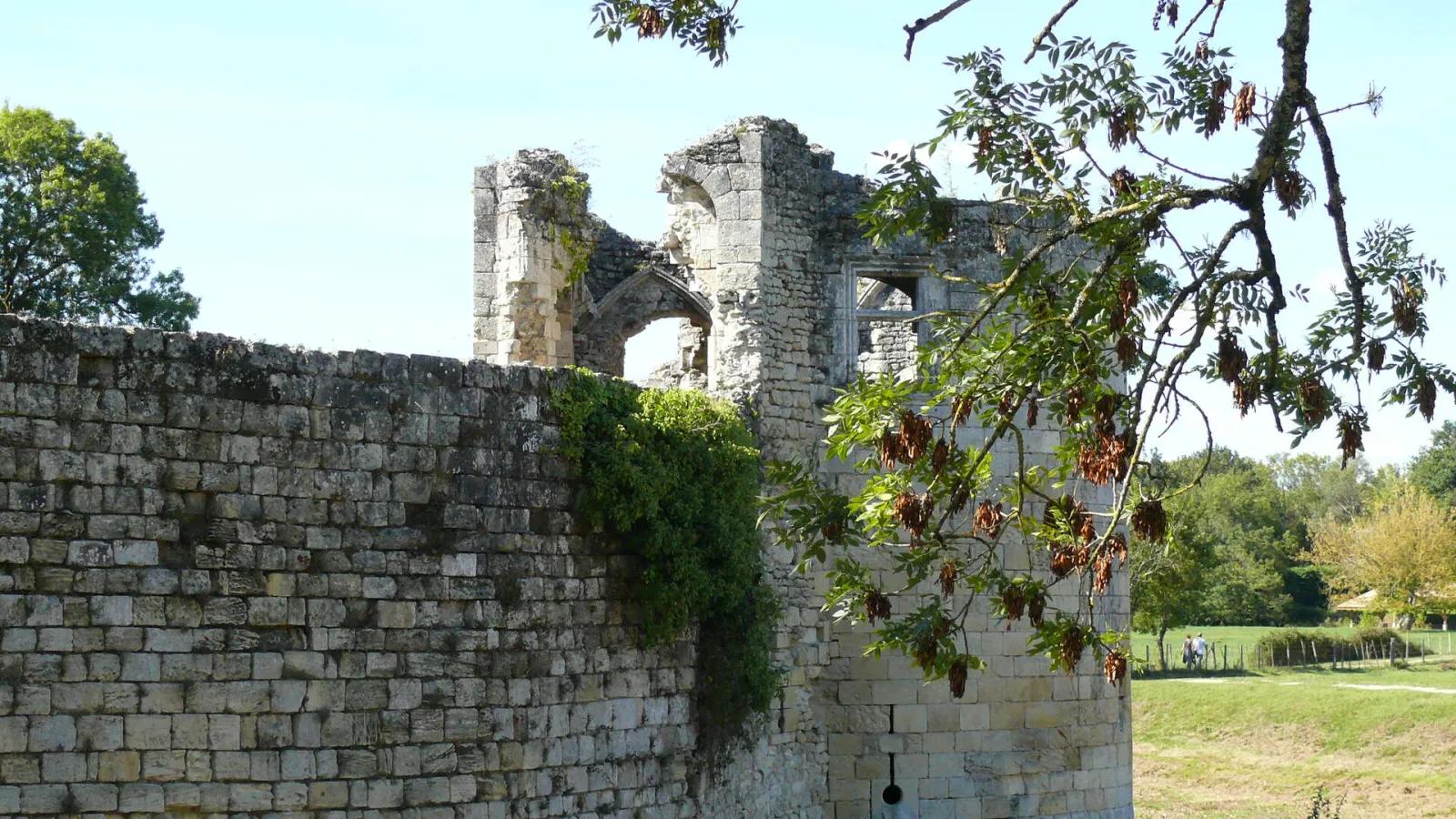 Ruins of the medieval Blanquefort fortress near Bordeaux, featuring massive stone walls and a partially preserved Gothic arched tower, surrounded by vegetation and green fields.