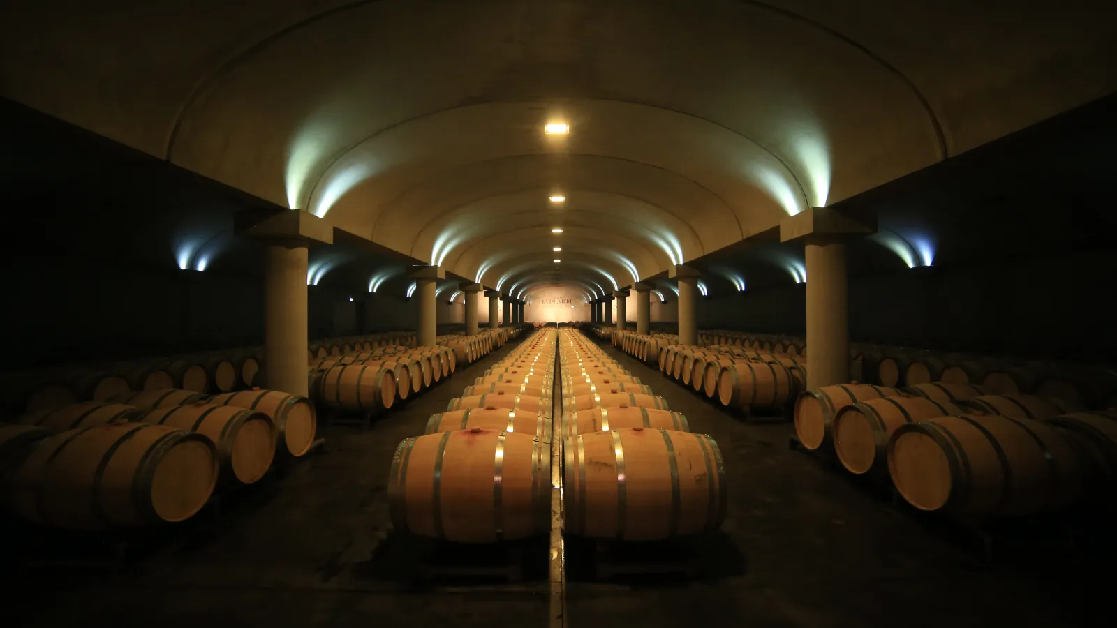 Underground cellar of Château La Louvière in Bordeaux featuring rows of wooden oak barrels symmetrically arranged beneath an illuminated barrel-vaulted ceiling