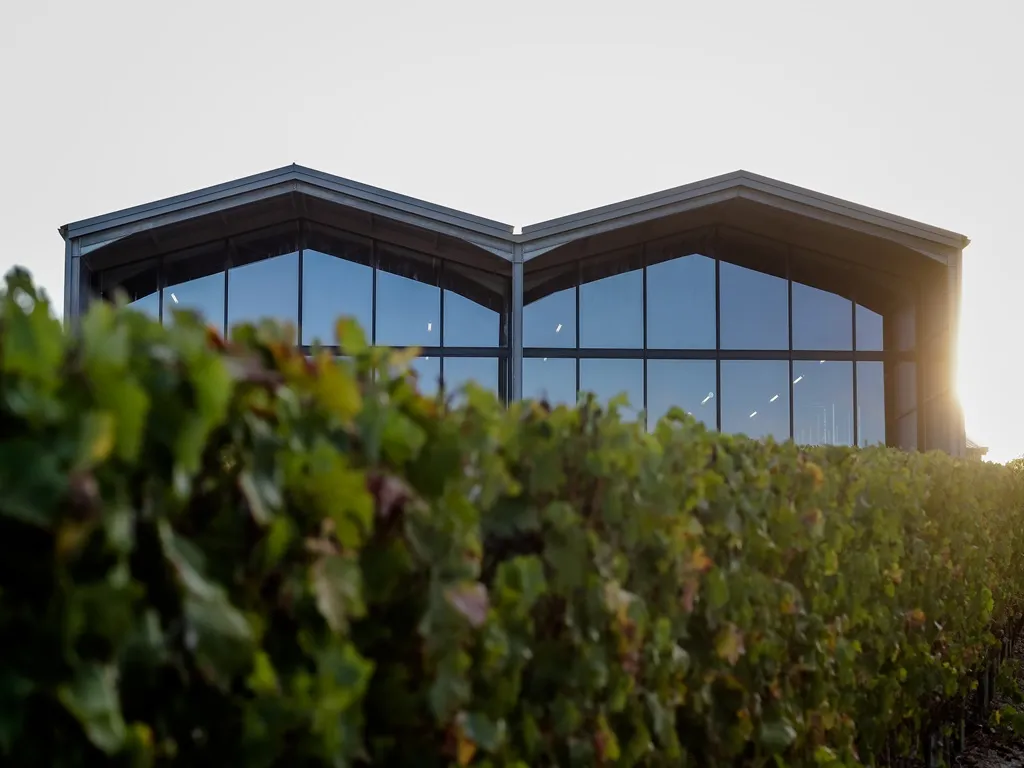 Modern building with large glass windows and pitched roof overlooking vineyards at Château Lauduc in Bordeaux