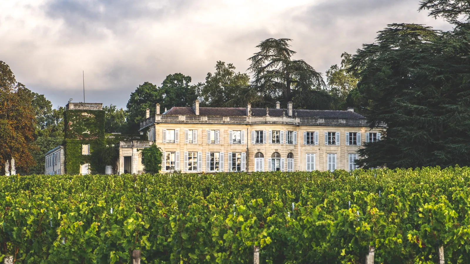 View of Château du Taillan near Bordeaux, classical stone façade overlooking vineyards in the foreground, surrounded by lush greenery and century-old trees.