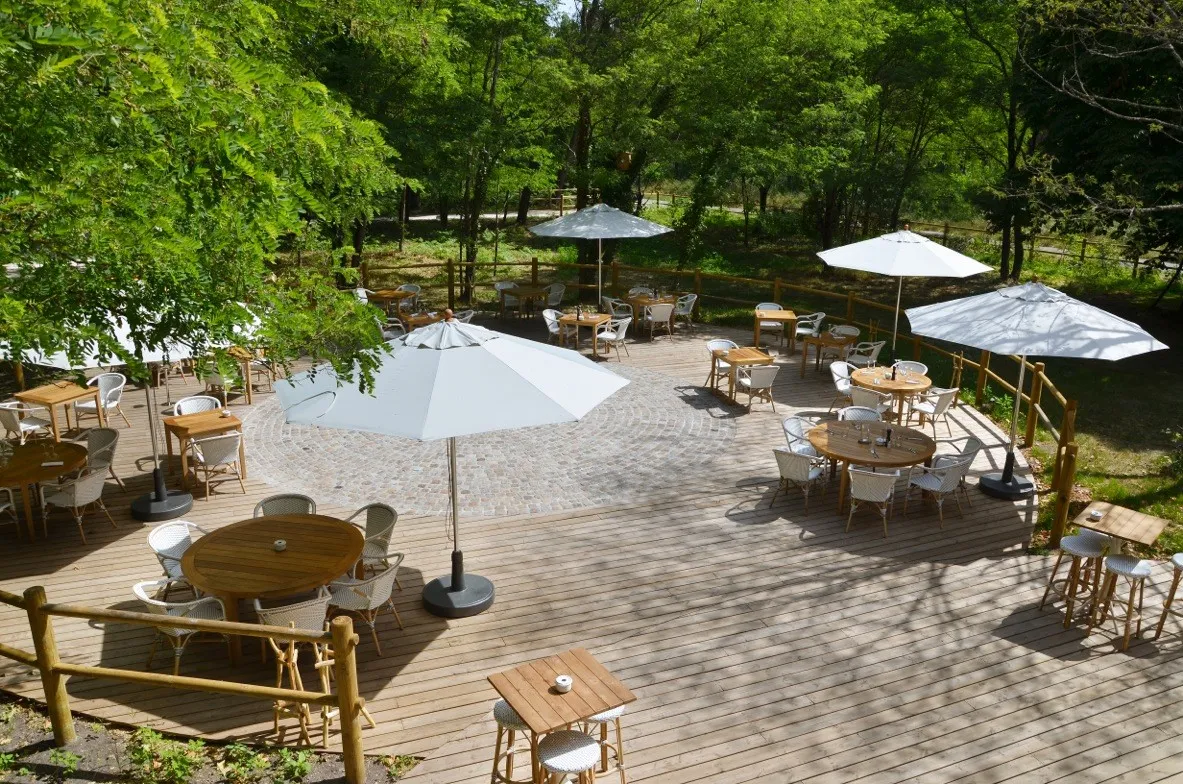 Shaded outdoor terrace at Château Léognan featuring wooden tables, white chairs and white umbrellas, surrounded by lush green trees.