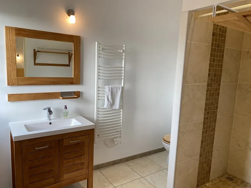 Modern bathroom featuring wooden vanity with sink, framed mirror, white towel radiator, and walk-in tiled shower