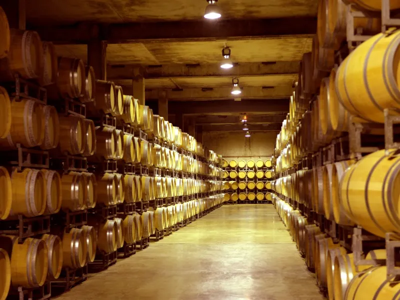 Wine aging cellar with symmetrical rows of golden oak barrels lining a long underground corridor with warm lighting, characteristic of Bordeaux and Saint-Émilion wine cellars.