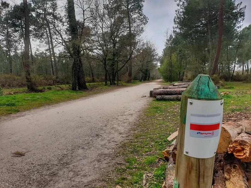 Forest trail in the Peugue sources woods near Bordeaux with a French-colored trail marker (blue, white, red) and green dome, surrounded by trees and green vegetation.