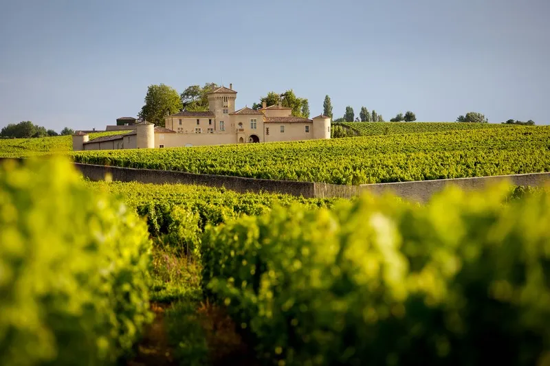 Château Lafaurie-Peyraguey surrounded by lush vineyards in the Bordeaux wine region, with a canal in the foreground and trees in the background.