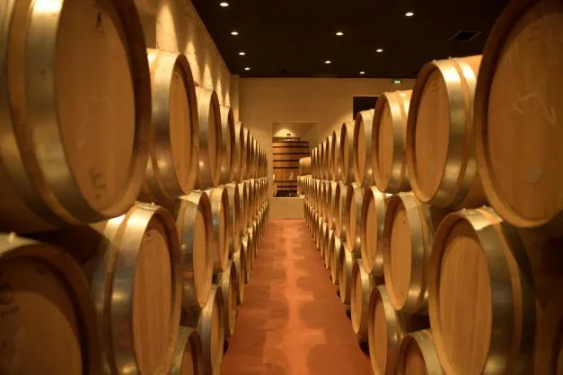 Wine cellar at Château Yon-Figeac in Bordeaux featuring rows of oak barrels lined symmetrically along a central corridor, illuminated by warm lighting.