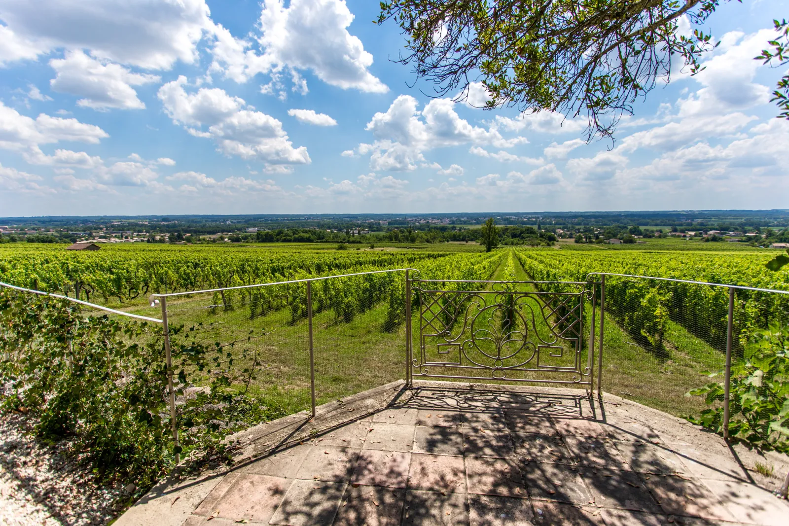 Panoramic view from a decorated terrace overlooking vineyard rows at Malagar estate near Bordeaux, with rolling hills and cloudy sky in the background.