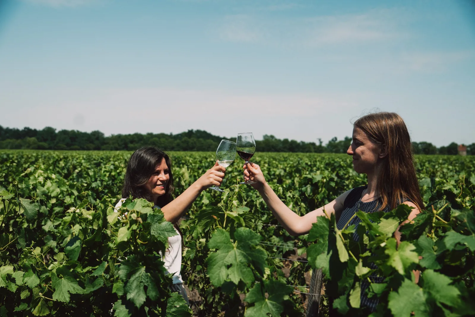 Two women toasting with glasses of white and red wine in a vineyard at Château Picque Caillou in Bordeaux, under a clear blue sky.