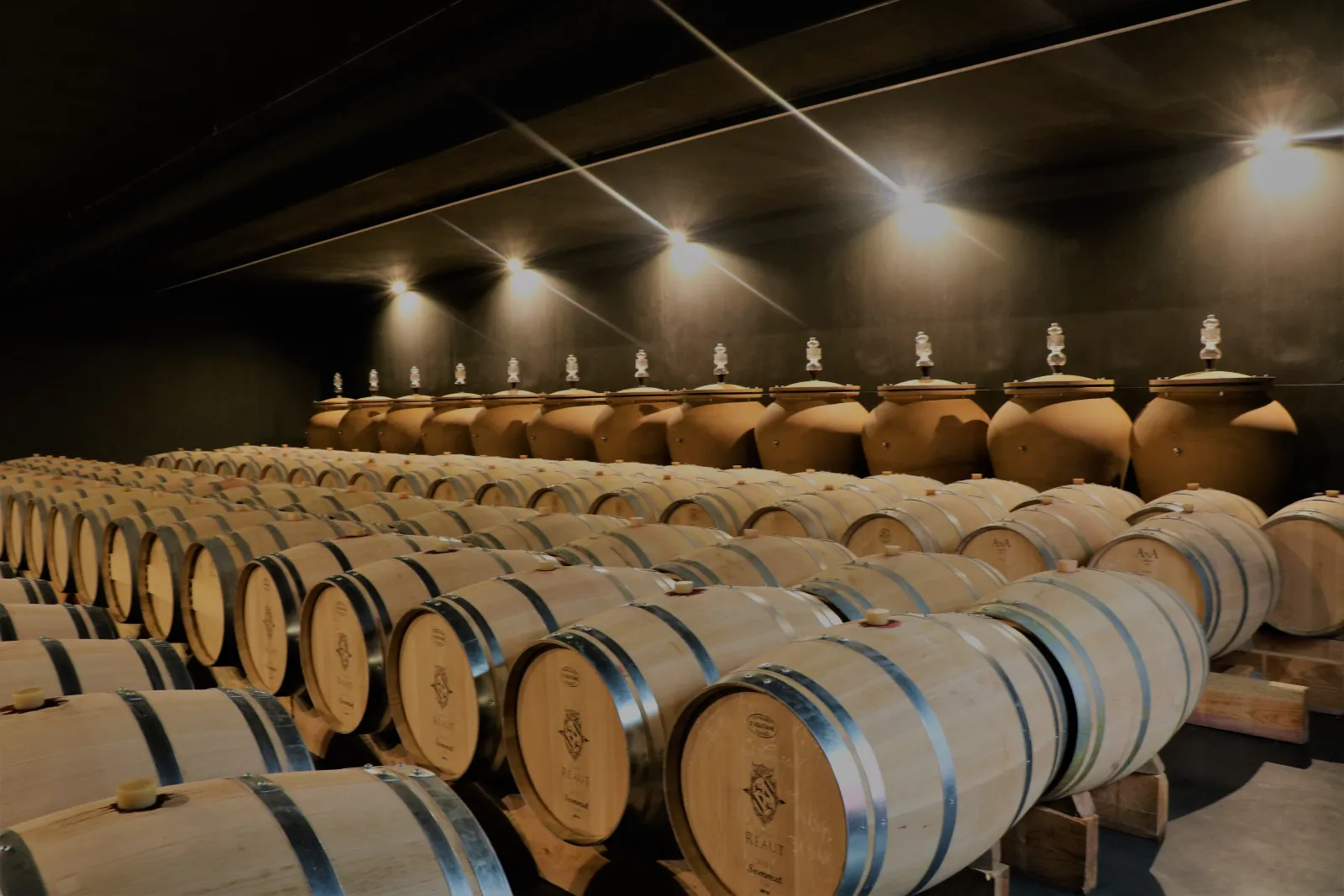 Aging cellar at Château Réaut in Bordeaux featuring rows of wooden barrels and large terracotta vessels lined under an arched ceiling lit by spotlights.