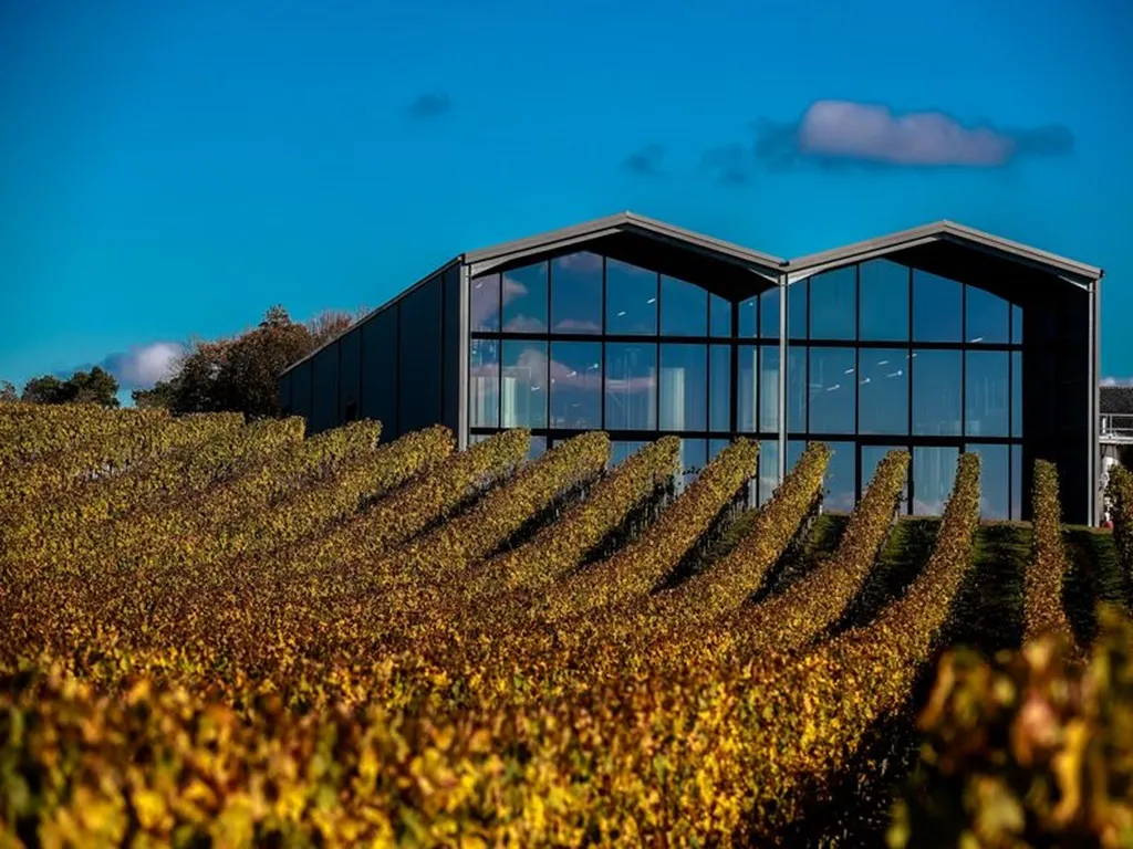 Modern black-windowed building overlooking golden vineyard rows in autumn at Château Lauduc, a Bordeaux winery