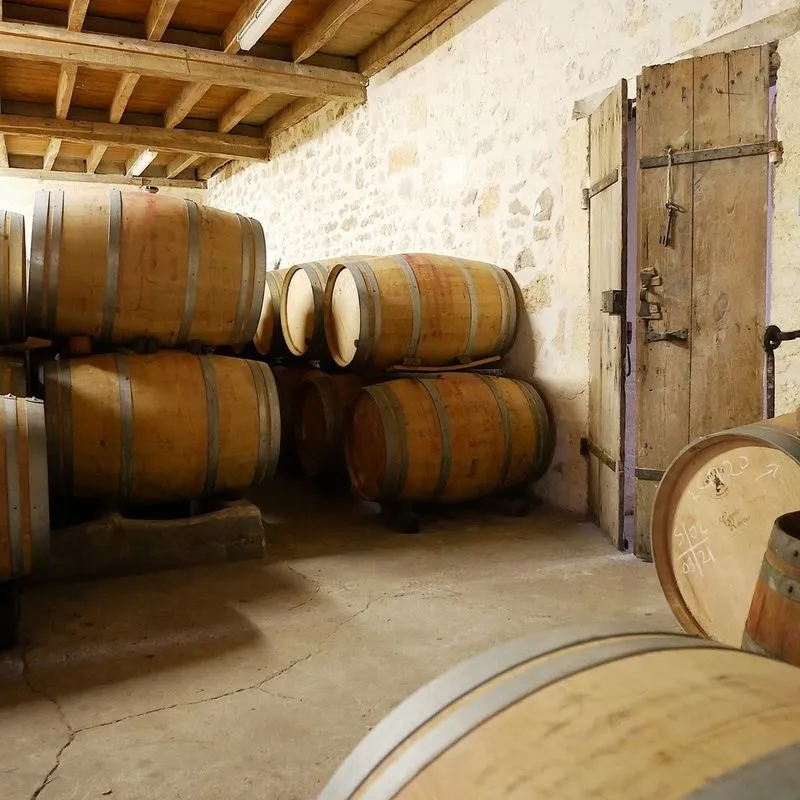 Interior of a wine cellar featuring stacked wooden barrels against a whitewashed stone wall with exposed wooden ceiling beams in Bordeaux.