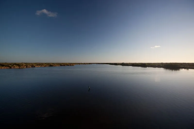 Panoramic view of the Certes-Graveyron Domains near Bordeaux, featuring a calm body of water surrounded by wooded shores under a clear sky.
