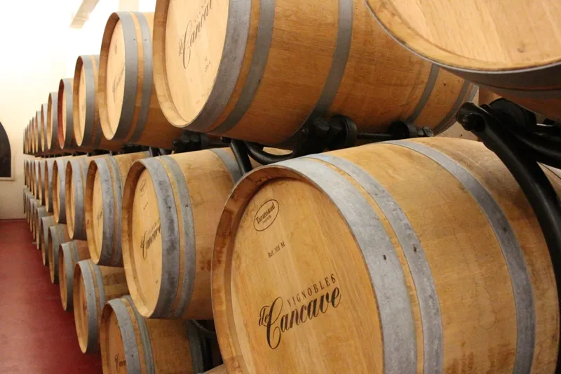 Stacked oak barrels in a Bordeaux wine aging cellar with visible estate labels, metal binding straps, and red floor.