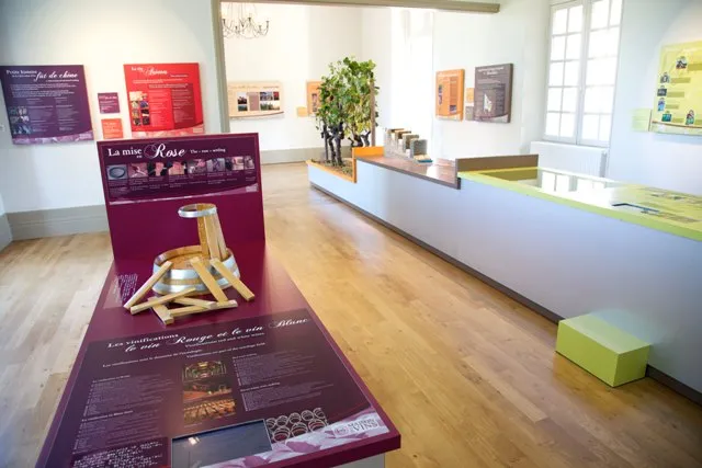 Interior of the Cadillac Wine House in Bordeaux, featuring wine exhibition panels, a reception desk, colored information boards on walls (red, purple, yellow), a potted plant and light wooden flooring