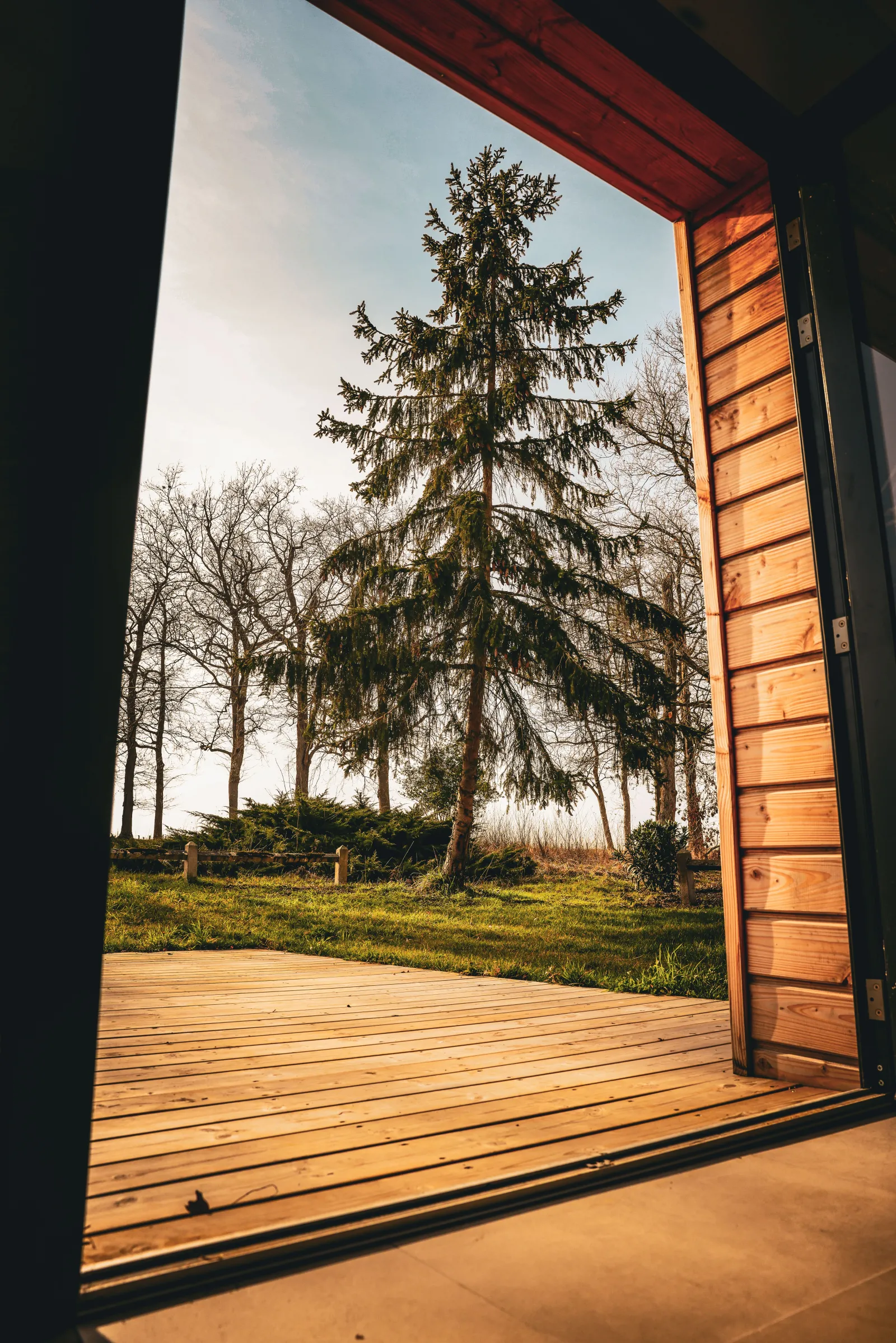 View from a wooden terrace of an eco-cottage overlooking a landscaped park with a tall fir tree and bare trees in the background, in Bordeaux.