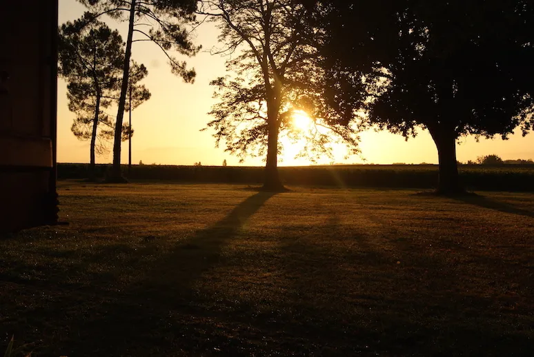 Sunset over the grounds of Château Sigalas Rabaud in Bordeaux, with trees casting long shadows across a golden field