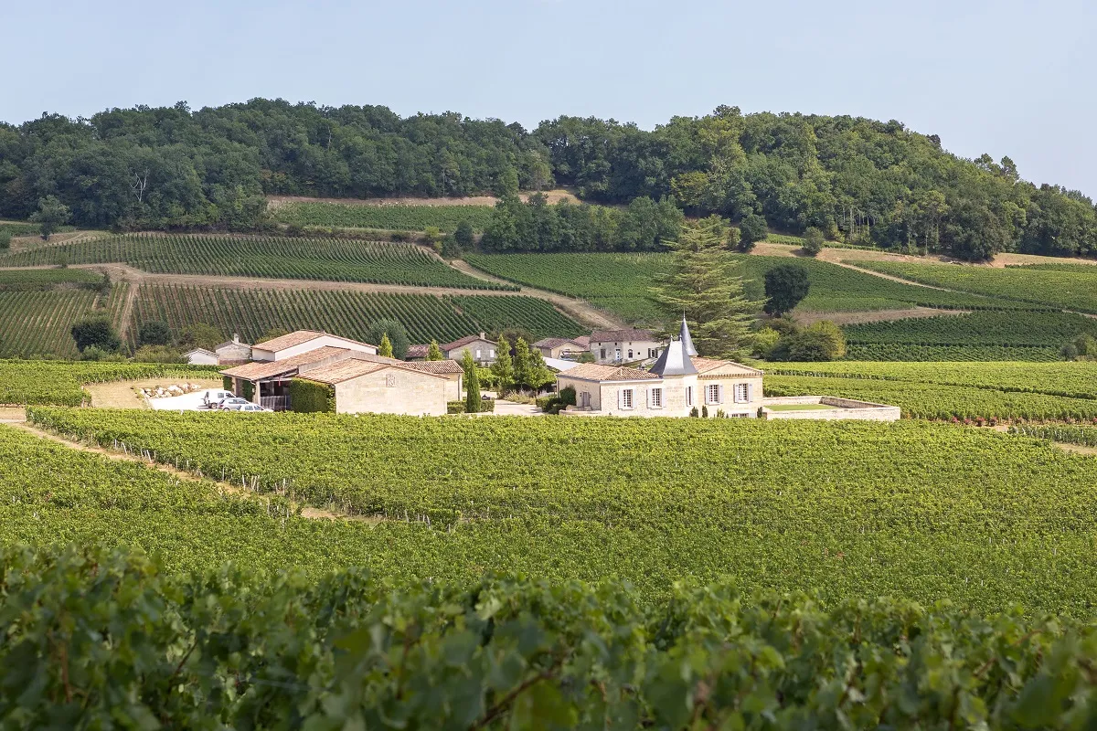 Château de Candale surrounded by vineyards in the Bordeaux region, featuring white stone buildings with tiled roofs nestled among green vineyard rows.