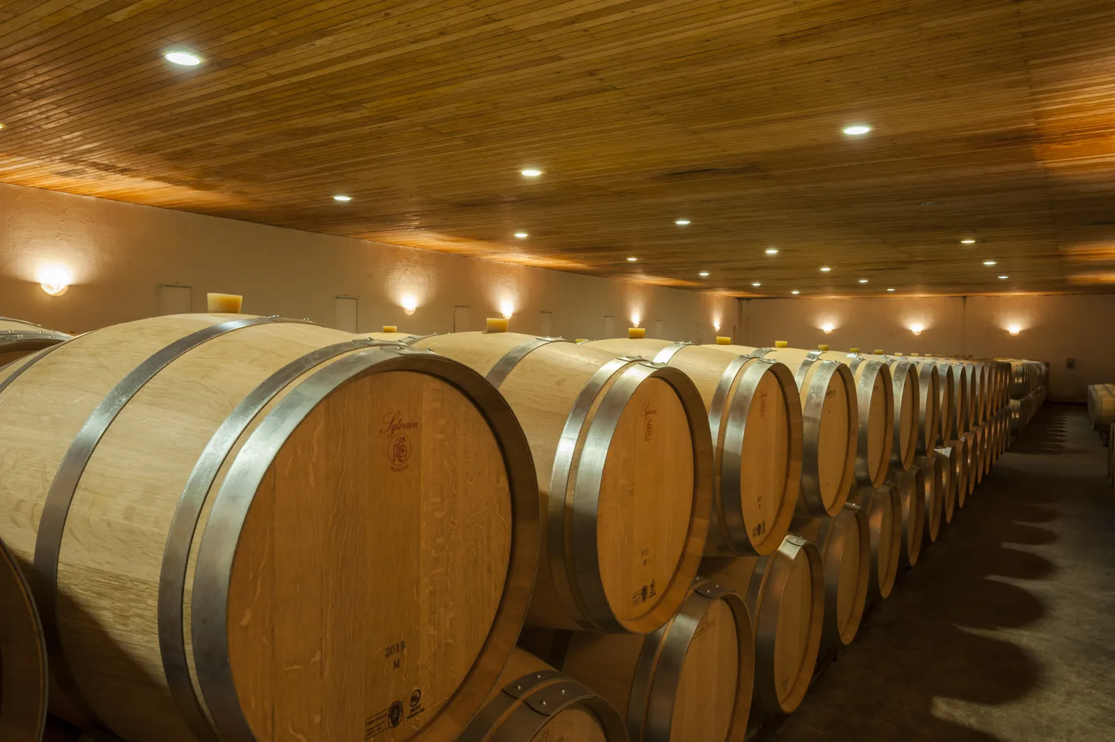 Wine cellar at Château Saint-Georges in Bordeaux featuring rows of oak barrels lined up beneath a wooden ceiling with recessed lighting.