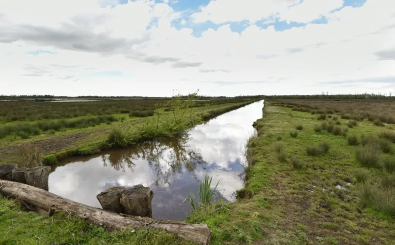 Panoramic view of Montferrand wetlands near Bordeaux featuring a water canal reflecting the cloudy sky, surrounded by grass vegetation and a tree log in the foreground