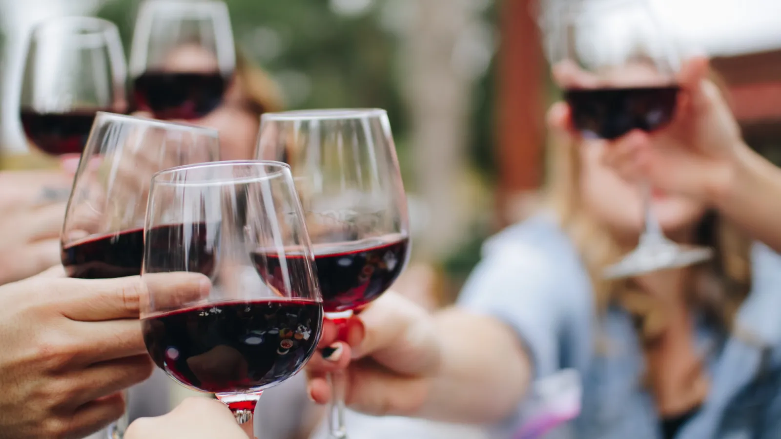 Group of people holding red wine glasses during an outdoor wine tasting in Bordeaux
