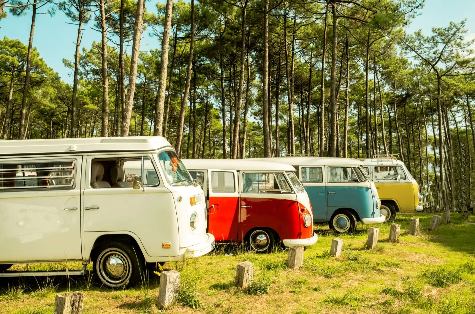 Four vintage Volkswagen camper vans in different colors (white, red and white, turquoise, yellow) parked in a forest clearing near Bordeaux